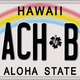 Illustration for article titled The Definitive Ranking Of State License Plates